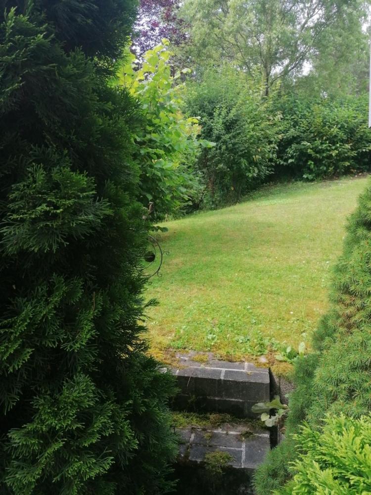 Fewo Grenzenlos In Ramsberg Pleinfeld Extérieur photo